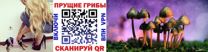 магазин    Хвалынск  omg ONION  Галлюциногенные грибы Psilocybine cubensis 